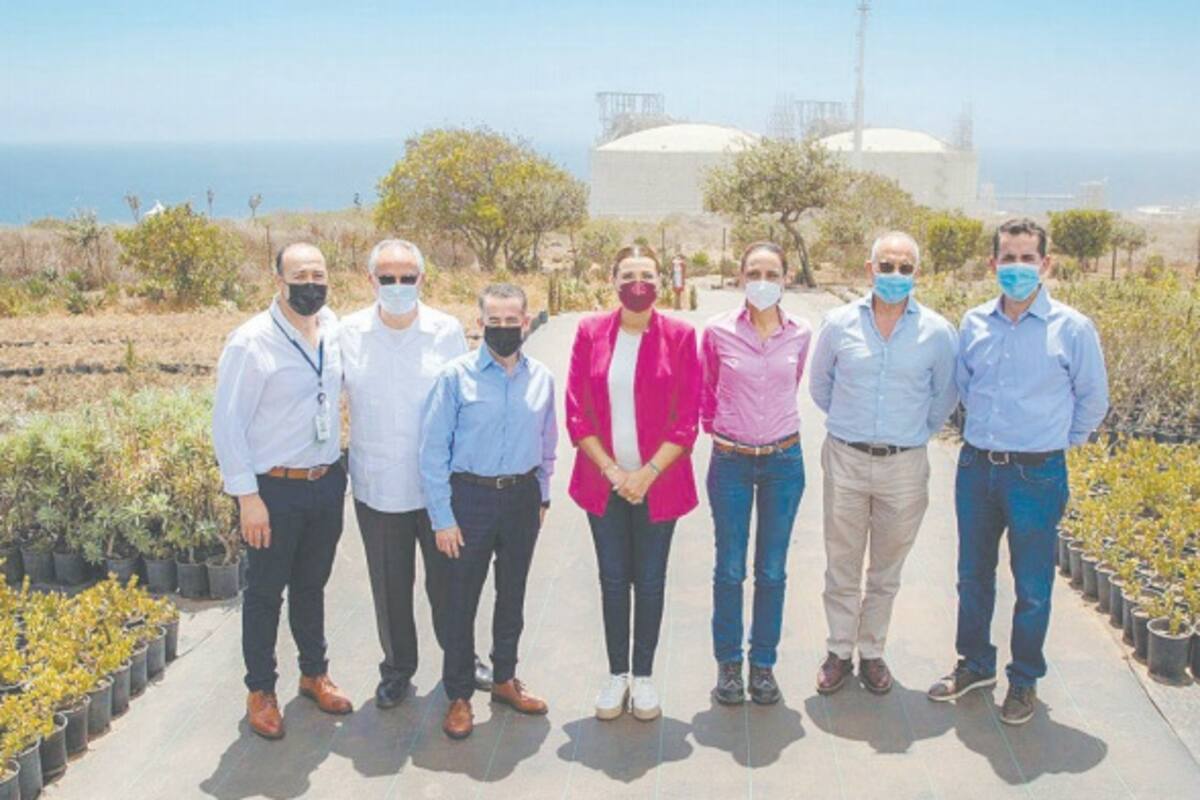 Infraestructura, energía y agua, vitales para BC: Marina del Pilar