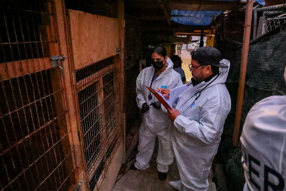 La acción fue ejecutada en el albergue “Ellos son la Razón” A.C., por la Fiscalía General del Estado, con el apoyo del Ayuntamiento de Ensenada. Foto: Cortesía