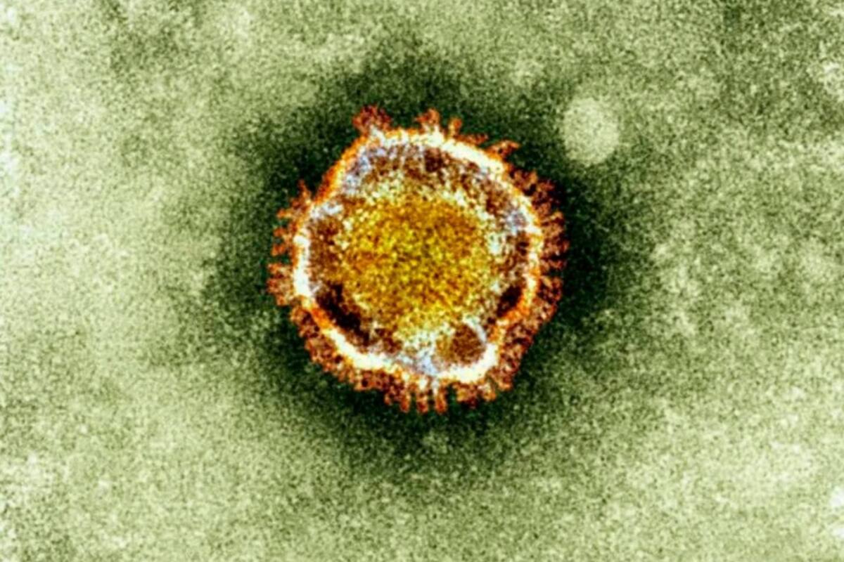Asciende a 4 la cifra de casos de coronavirus en Guerrero