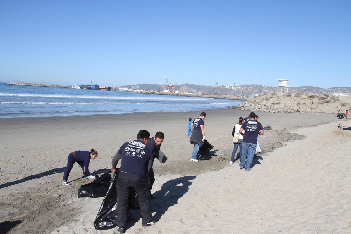 Gobierno de Ensenada y Cicese invitan a limpieza de playa