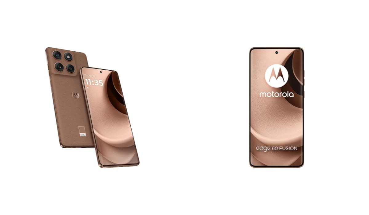 Imagen tomada de Mercado Libre