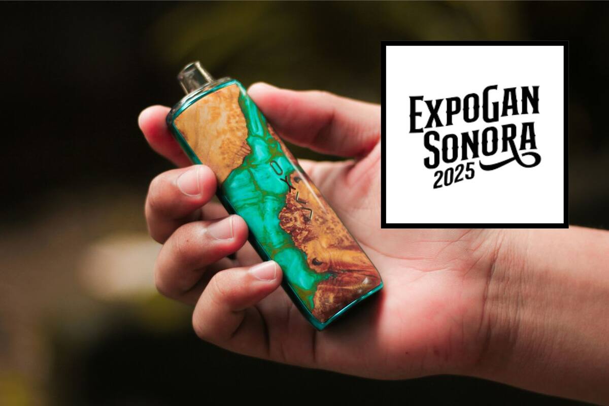 Serán decomisados cigarros electrónicos y vapeadores en entrada de ExpoGan 2025: Policía Preventiva
