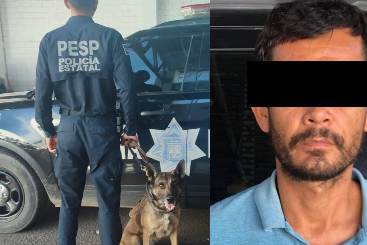 Colabora “Pepol”, de la Policía Estatal, en el aseguramiento de una persona y sustancias similares al narcótico en Hermosillo
