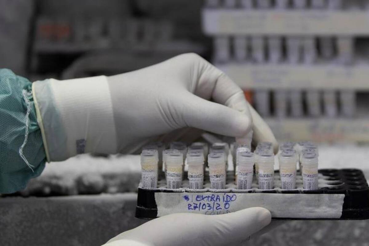 Argentina: Científicos consiguen secuenciar genoma de SASRS-CoV2