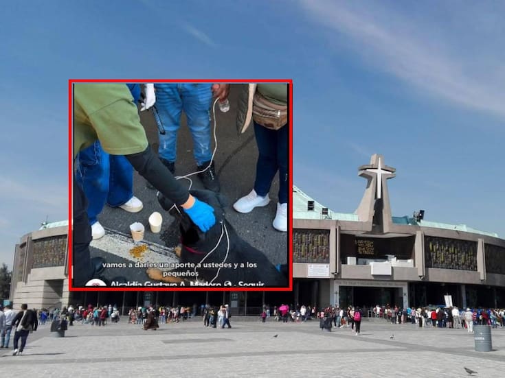 Operativo Perrito Peregrino 2025: Así ayudan a los perritos abandonados en la Basílica de Guadalupe