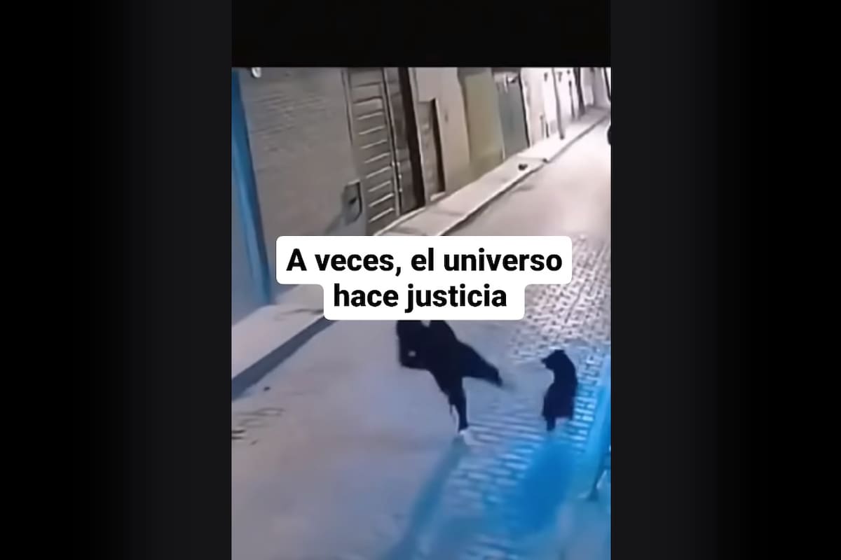 El karma instantáneo: Un joven intenta patear a un perro y termina golpeándose la cara