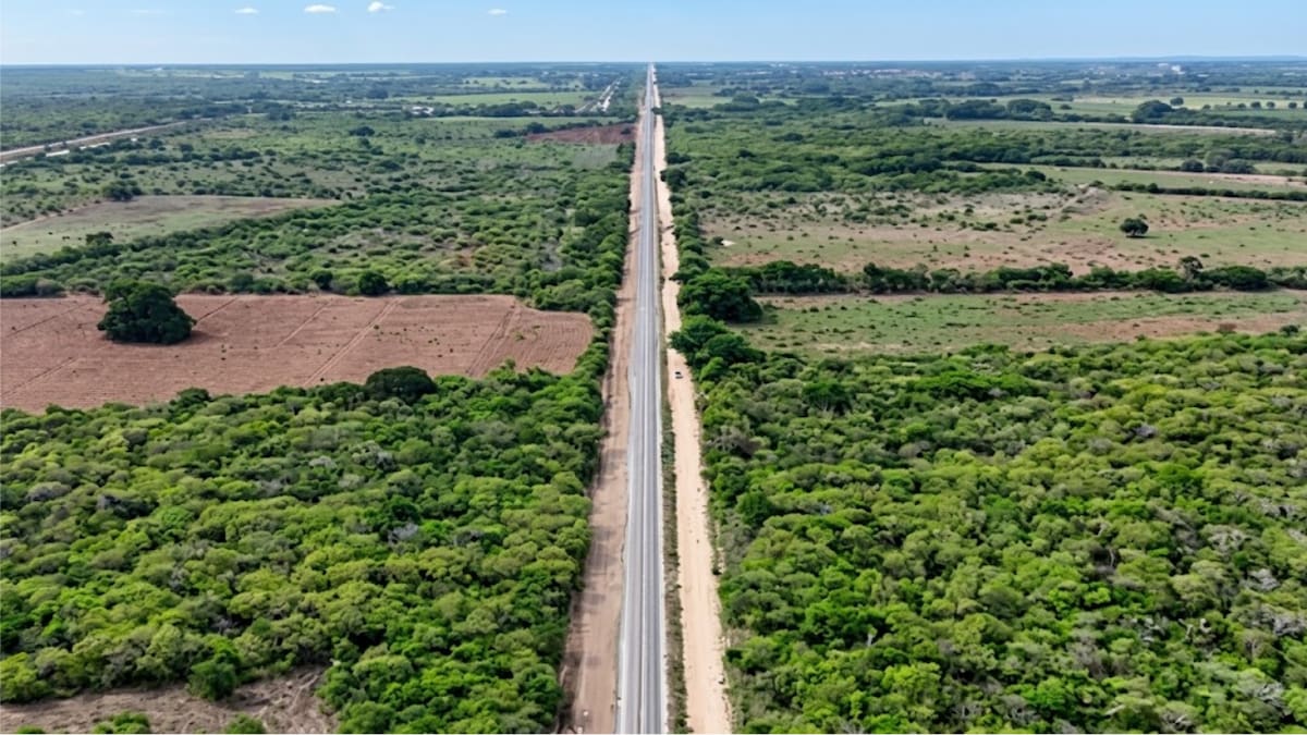 El rezago actual responde a una cadena de retos financieros, logísticos y de planeación que frenaron la maduración de los parques industriales desde su diseño inicial.