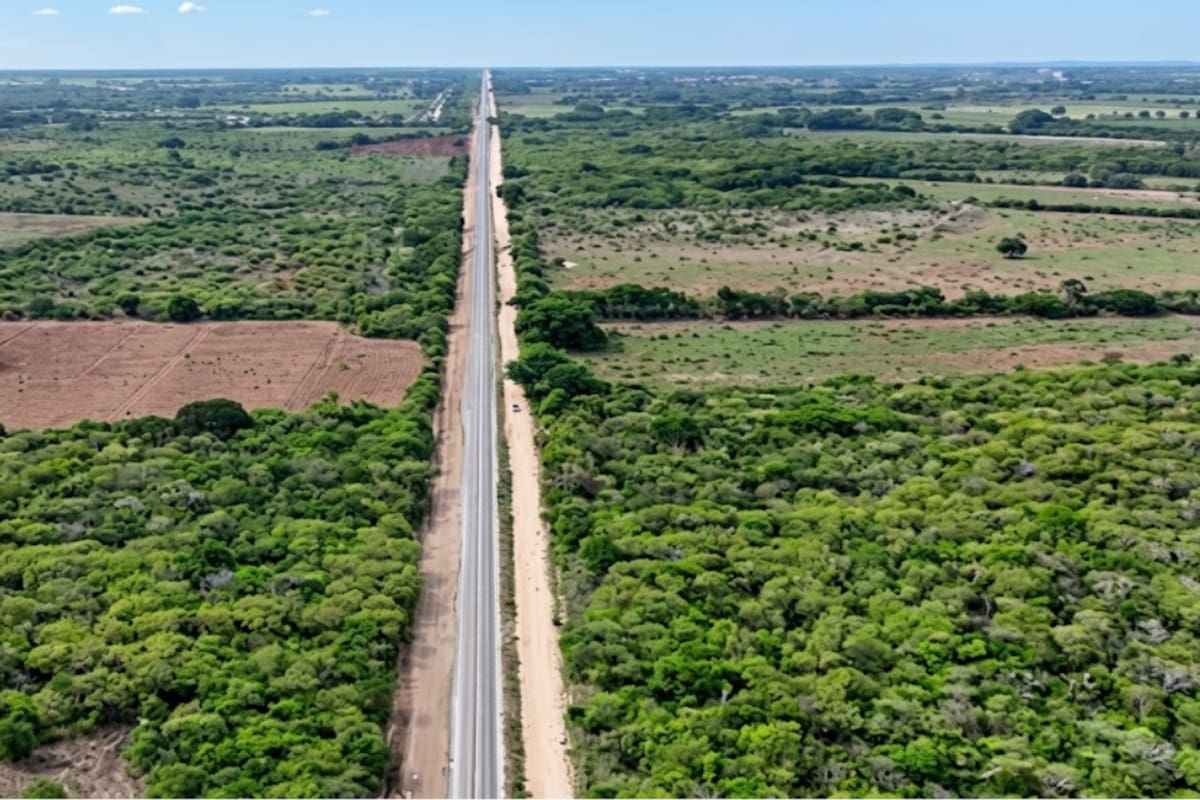 Hasta 1 millón de pesos por hectárea ofrecen por tierras de Unión Hidalgo ante el avance del Corredor Interoceánico, mientras un defensor denuncia presuntas irregularidades del Ayuntamiento en terrenos de propiedad social