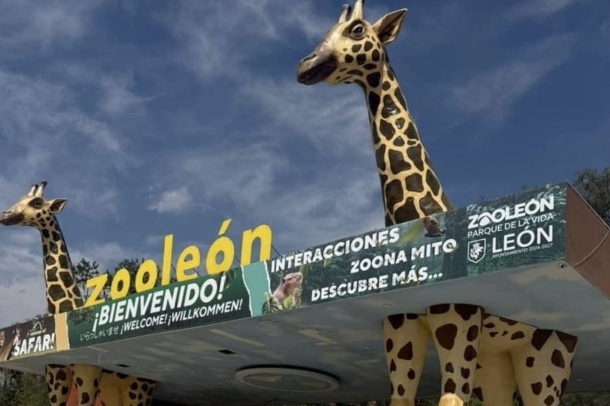 Alerta en el Zoo de León por primeros casos de gusano barrenador; activan vigilancia para proteger a los animales