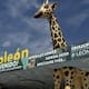Alerta en el Zoo de León por primeros casos de gusano barrenador; activan vigilancia para proteger a los animales