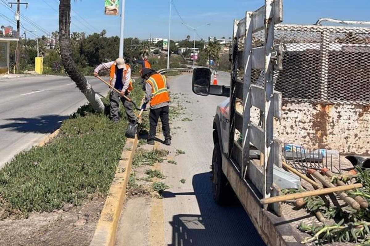 Obras Públicas de Rosarito opera con maquinaria obsoleta y falta de equipo, reconoce sindicato