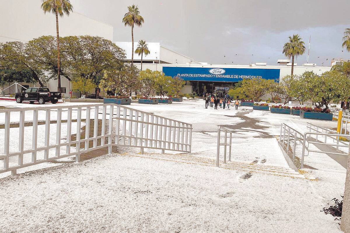 Pronostican -7°C en zonas de Sonora hoy, ¿seguirán las lluvias y nevadas?