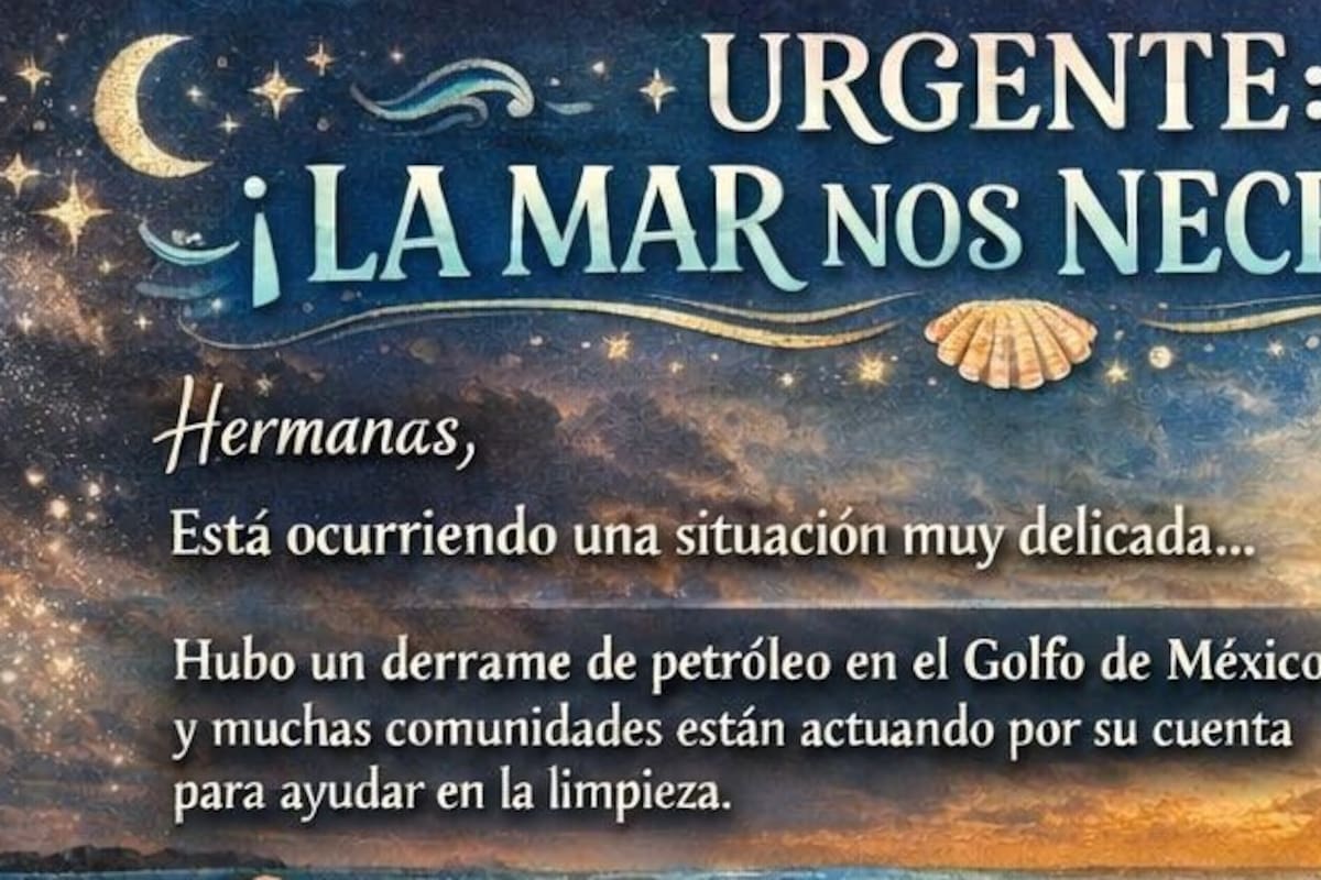 Activistas recolectan cabello en Baja California para atender derrame de petróleo