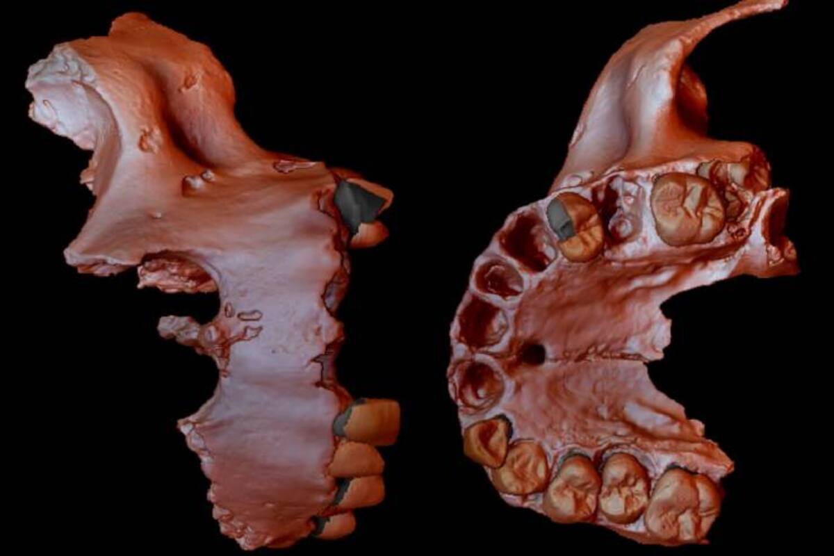 Obtienen la evidencia genética humana más antigua hasta ahora
