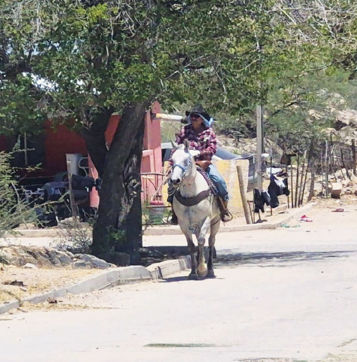 Poco a poco el pueblo ha ido recobrando normalidad con el regreso de sus pobladores.