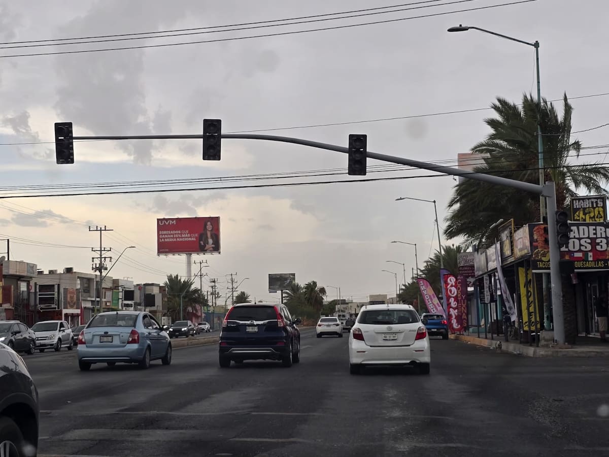 Las fuertes ráfagas de viento derribaron postes y árboles en distintos puntos de Mexicali, además de provocar apagones y complicaciones para la circulación. Foto: Said Morones.