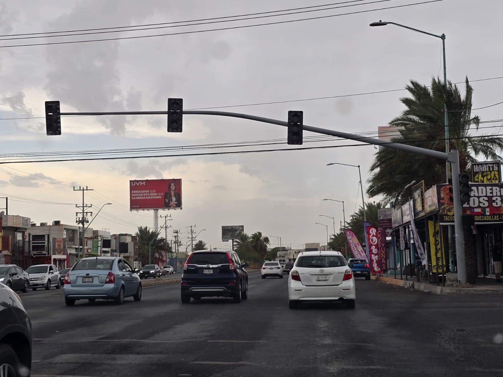 Las fuertes ráfagas de viento derribaron postes y árboles en distintos puntos de Mexicali, además de provocar apagones y complicaciones para la circulación. Foto: Said Morones.