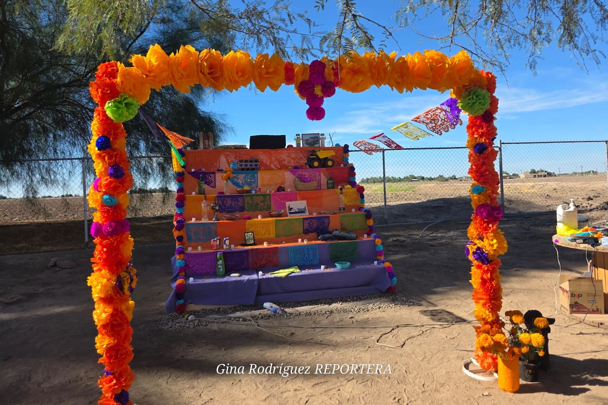 Concurso de Altares en el Museo Regional para Celebra la Tradición del Día de Muertos
