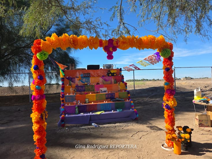 Concurso de Altares en el Museo Regional para Celebra la Tradición del Día de Muertos