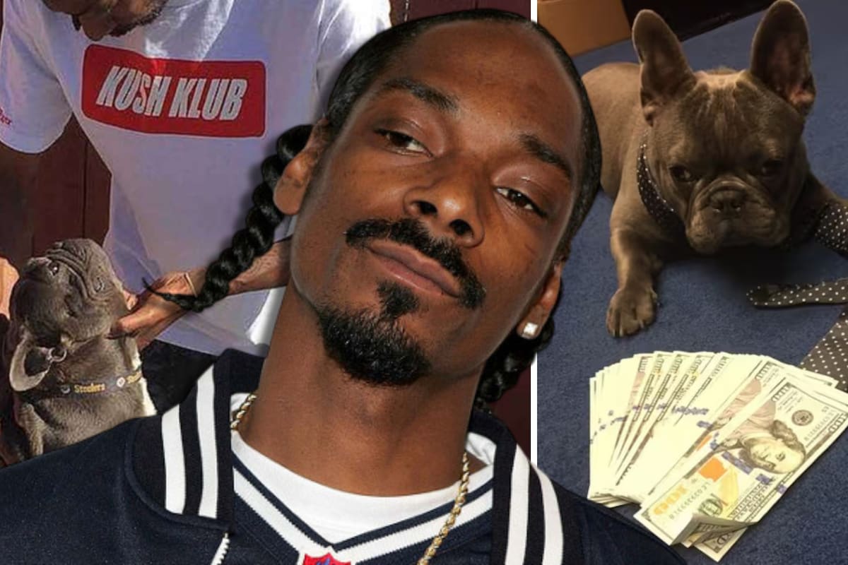 Entre lágrimas, Snoop Dogg anuncia el fallecimiento de Juelz, el perrito que lo acompañó desde 2014