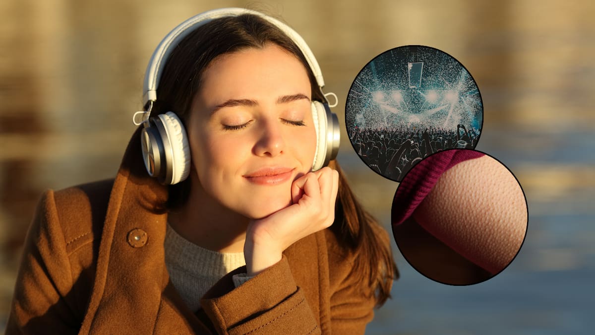 Aunque la ciencia descarta que escuchar a Mozart aumente la inteligencia, estudios sobre música y cerebro muestran que una canción puede activar circuitos de memoria, placer, atención y movimiento