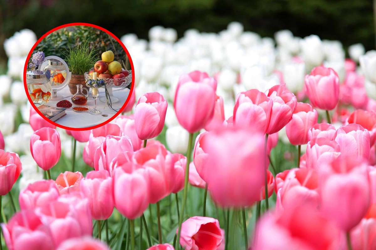 ¿Cuándo inicia la primavera? 5 señales que marcan el comienzo de esta estación