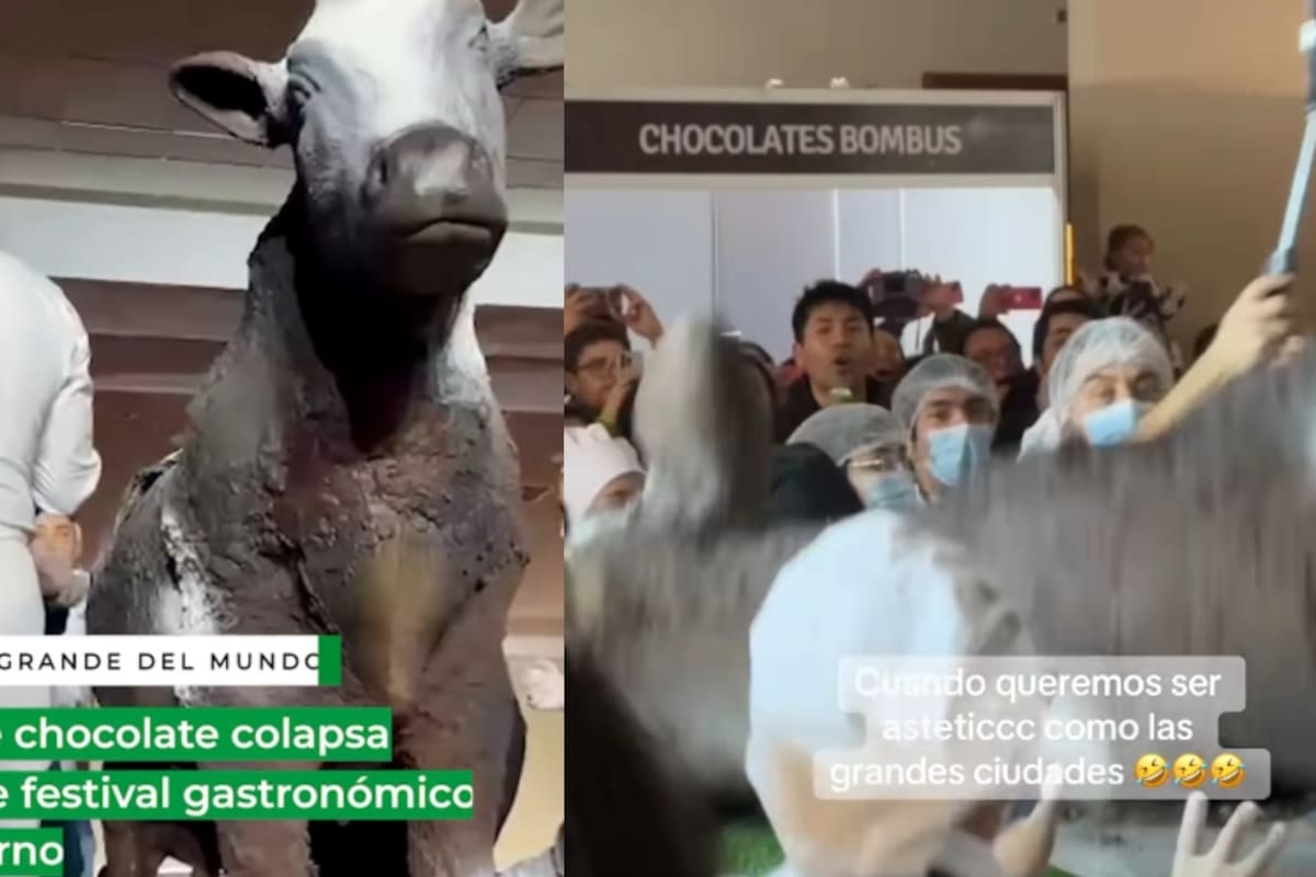 “Pesaba cerca de 600 kilos.”: Enorme escultura de chocolate en forma de vaca colapsa en un Festival de Chocolate