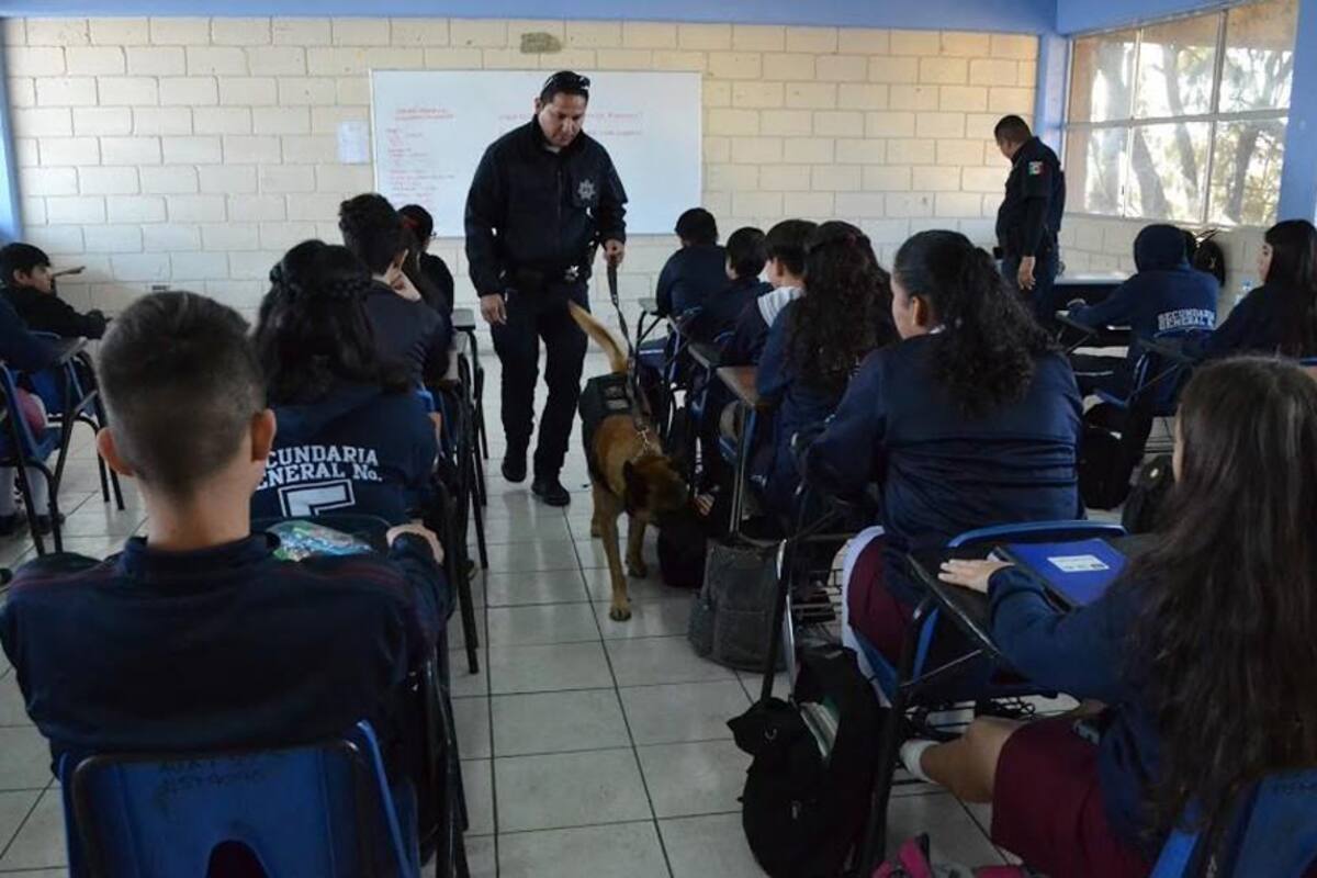 Mariguana líquida no ha llegado a primarias