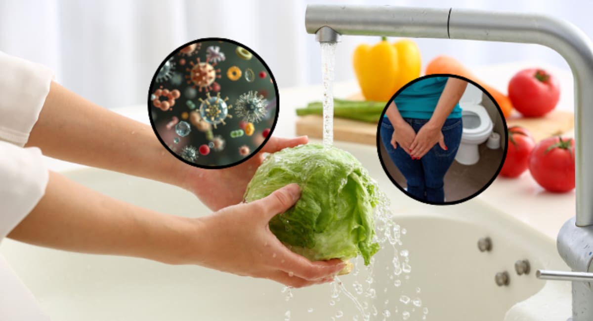 No uses cloro ni jabón: esta es la forma correcta de lavar y desinfectar la lechuga para disminuir el riesgo de enfermedades transmitidas por alimentos