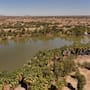 El Río Colorado se está encogiendo; ambientalistas buscan mantener los bosques del delta ante la crisis del agua