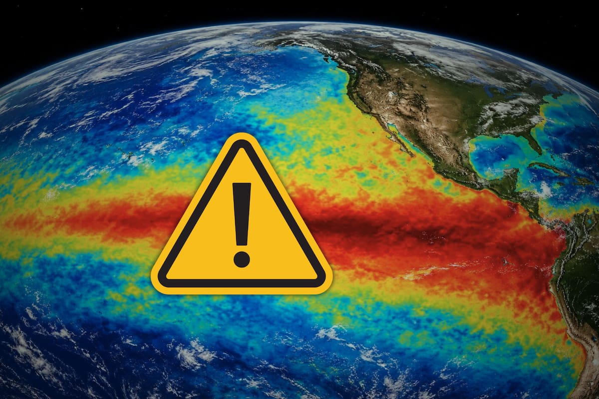 Tras la devastadora crisis climática de 1983, la oceanografía mundial perfeccionó un impresionante arsenal robótico con flotadores Argo y drones Saildrone para descifrar las entrañas del Pacífico, revelando con precisión la estructura vertical del calor, las anomalías térmicas y las abruptas fronteras entre masas de agua que definen a El Niño