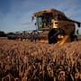 Rompe nuevo récord importación de granos