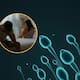 Un estudio científico identificó que en el semen humano hay edulcorantes, plásticos, pesticidas y otros compuestos químicos de uso diario, lo cual podría estar afectando el rendimiento reproductivo masculino