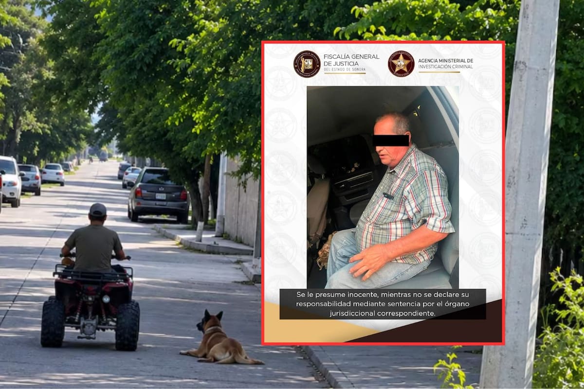 Video difundido en redes lleva a la detención de un hombre por presunto maltrato animal en Álamos; un perro queda bajo resguardo