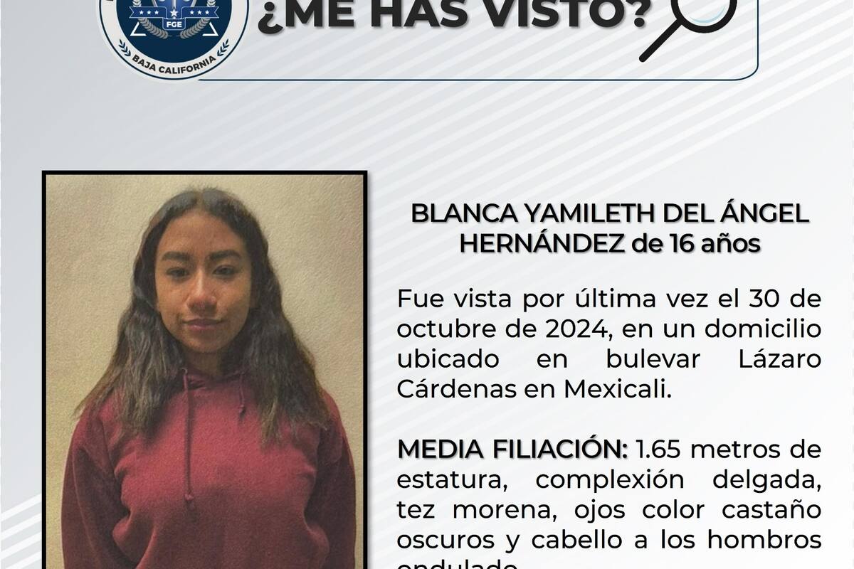 Pesquisa de Blanca Yamileth Del Ángel Hernández