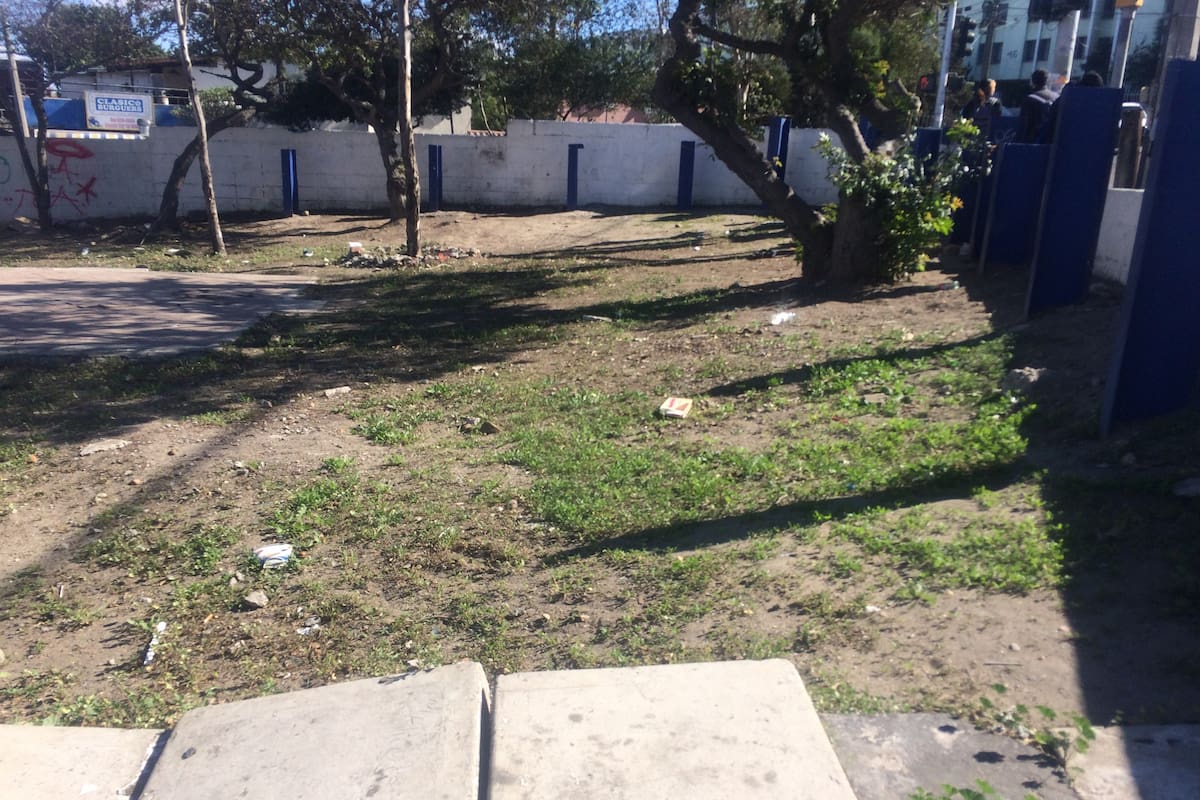 Avanza combate de déficit de áreas verdes