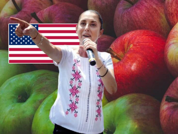 Mientras México importaba manzanas estadounidenses, EEUU bajó precios bruscamente buscando destrozar a la competencia de productores locales que han denunciado y ahora el caso es investigado