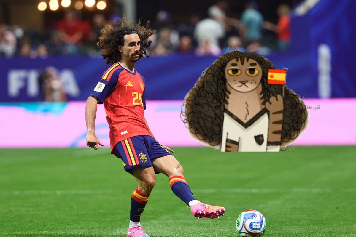 Google homenajea a Marc Cucurella con el meme del gato en su buscador