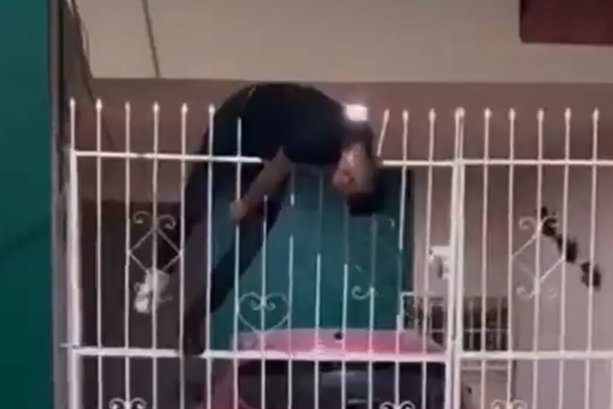 VIDEO: Ladrón quedó ensartado en una reja cuando intentaba robar una casa; vecinos lo grabaron mientras gritaba y se desangraba