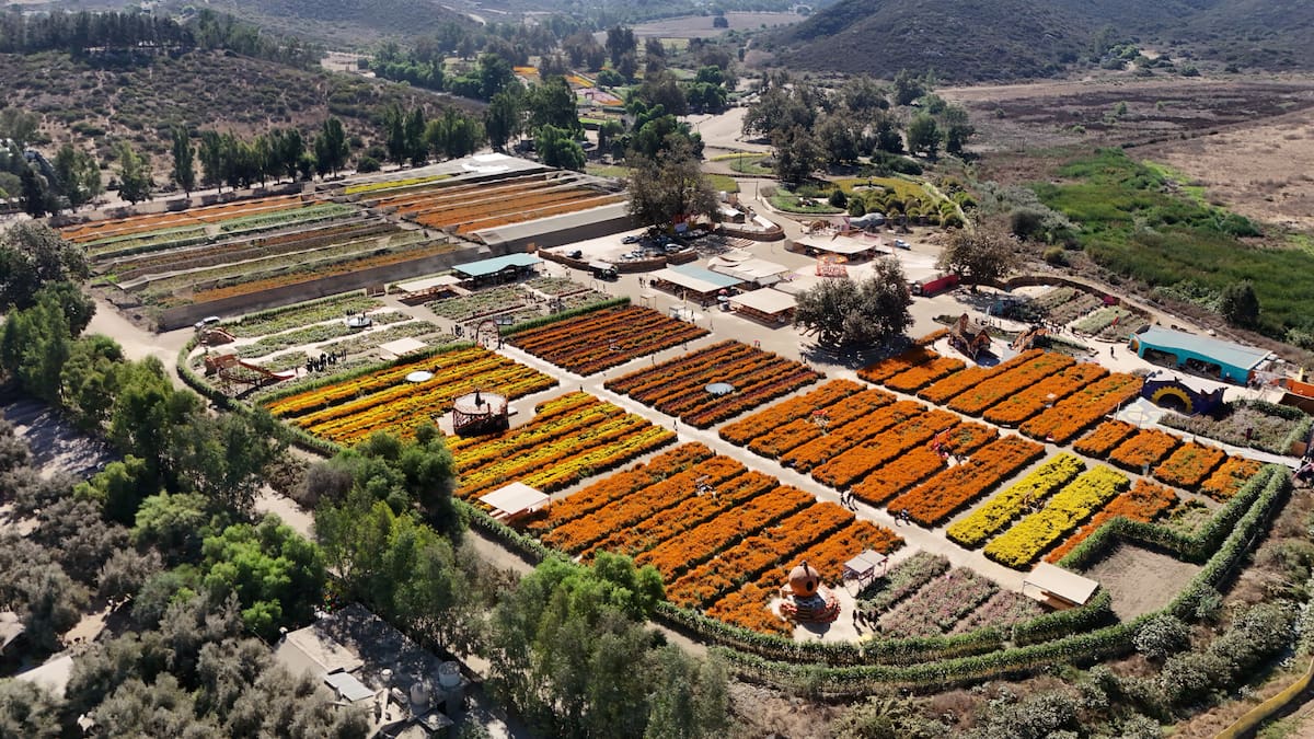 Foto: Leonardo González
