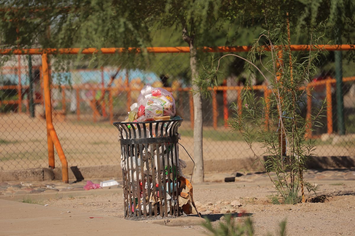 Le preocupa que no vayan por la basura, ya que se acumula y los perros suelen hacer desorden.