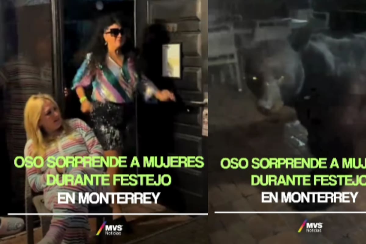 Oso sorprende a un grupo de amigas durante una reunión al aparecer afuera de su casa