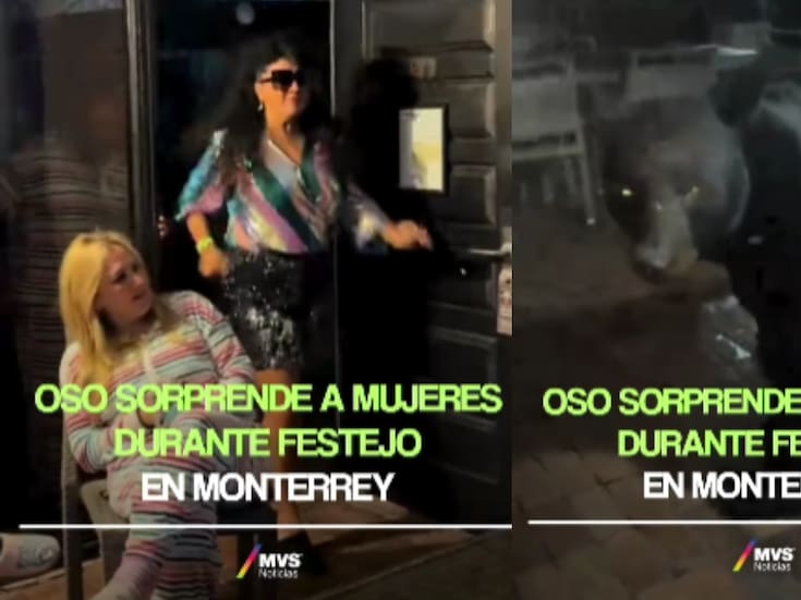 Oso sorprende a un grupo de amigas durante una reunión al aparecer afuera de su casa