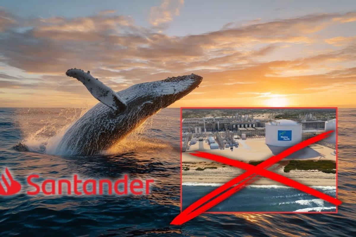 Banco Santander se deslinda de Saguaro y AMIGO GNL, los megaproyectos de gas fósil que amenazan las costas de Sonora