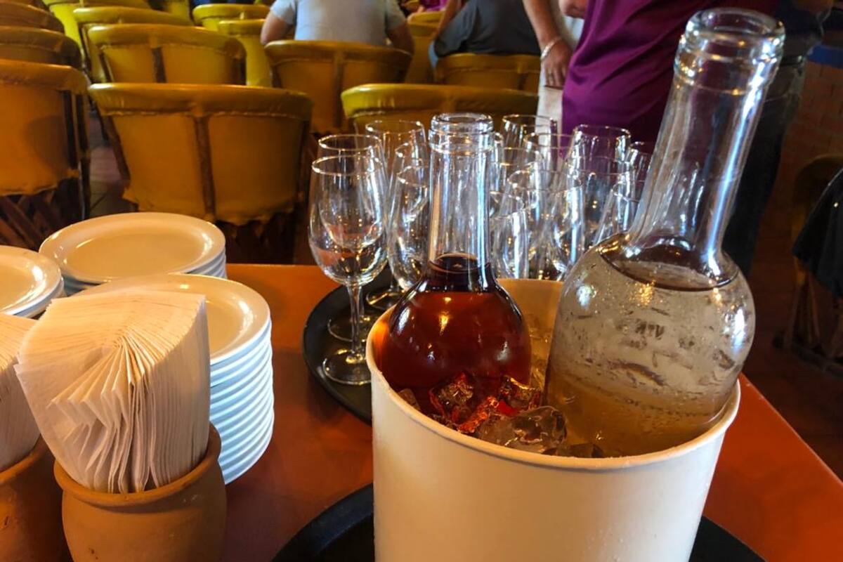 Club Rotario Rosarito prepara segunda edición del Rosarito Wine Fest