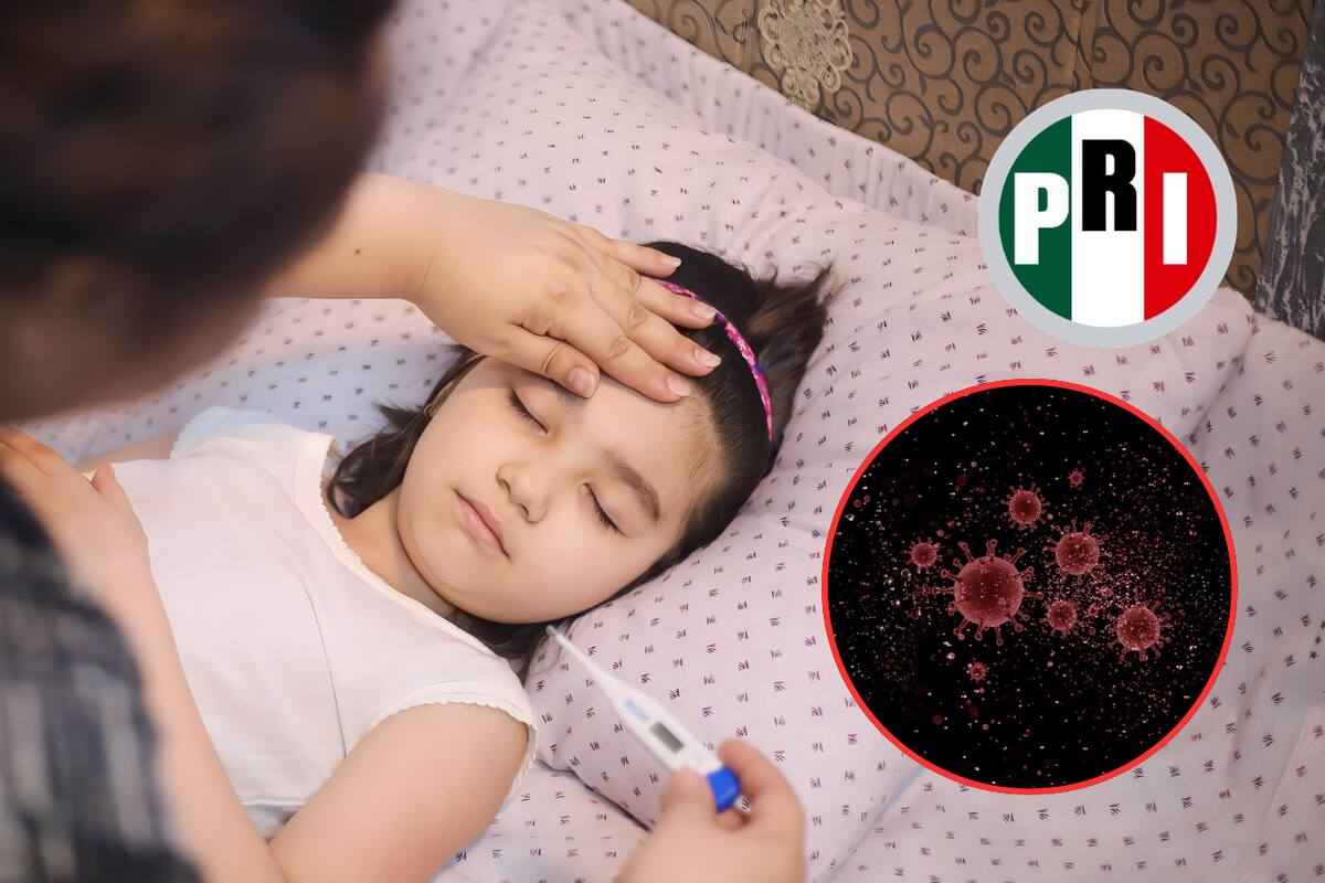 Bancada del PRI en el Senado exige mayor atención al metapneumovirus humano en México