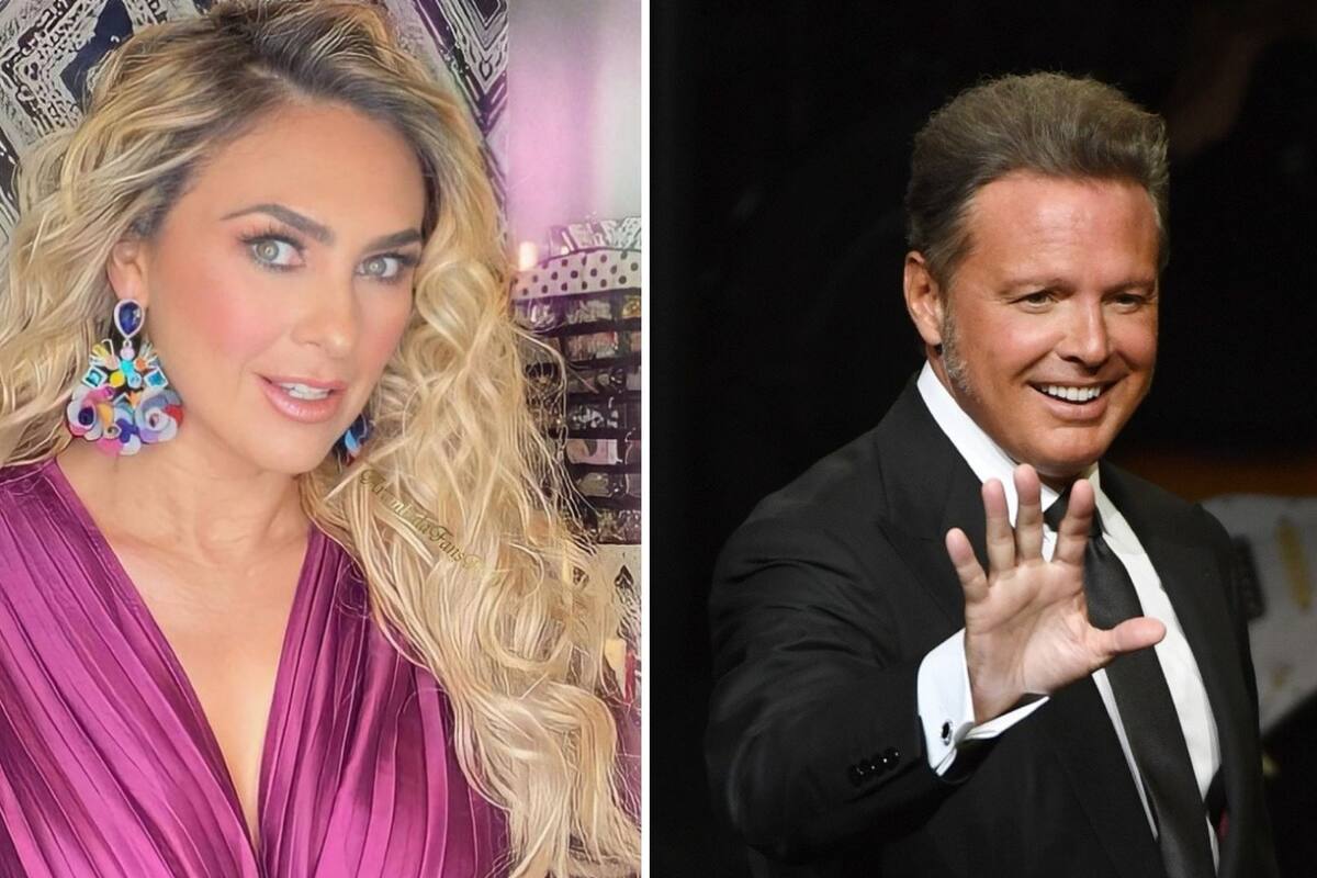 ¿Por qué Luis Miguel no paga la manutención de sus hijos con Aracely Arámbula?