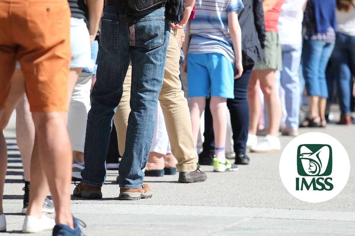 Evita traslados y largas esperas en ventanillas del IMSS con el Tarjetón Digital: Qué es, para qué sirve y cómo tramitarlo