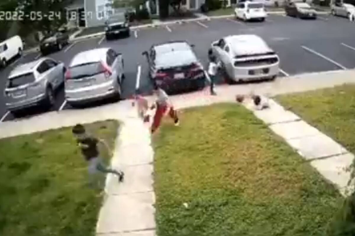 Video: Niños quedan atrapados en medio de un tiroteo en Virginia; una menor fue impactada y se encuentra grave