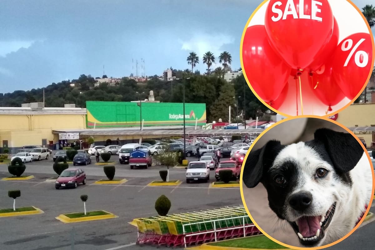 El Fin Irresistible de Bodega Aurrera: Éstas son las croquetas para perro con descuentos